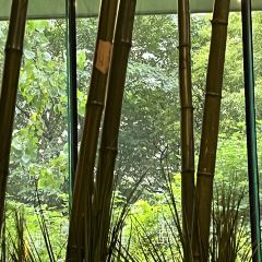 悦河咖啡厅-西餐厅 User Photo