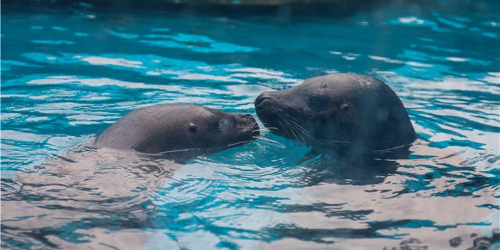 Binzhou Underwater World