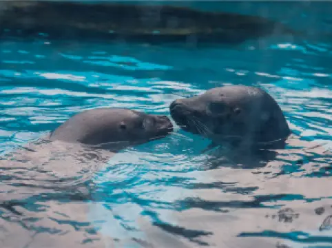 Binzhou Underwater World