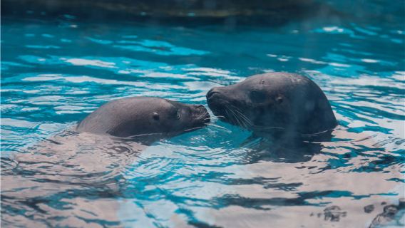 Binzhou Underwater World