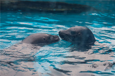 Binzhou Underwater World