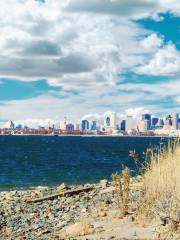 Spectacle Island