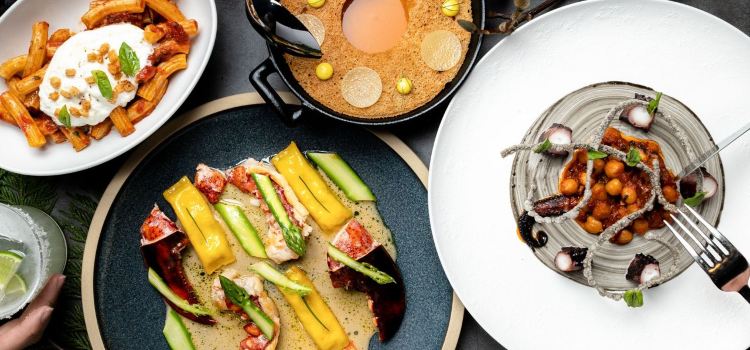 Wild Blue Restaurant + Bar