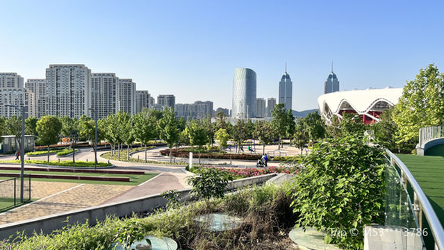 Zaozhuang City Cultural and Sports Center