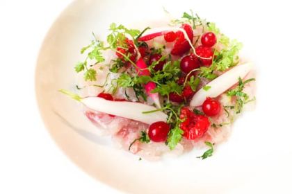 L'Ecaille de la Mascotte