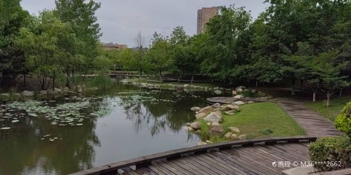Wetland Park