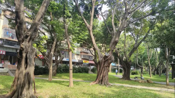 Majialong Shequ Park