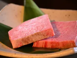 Teppan-Yaki Steak House Kiku