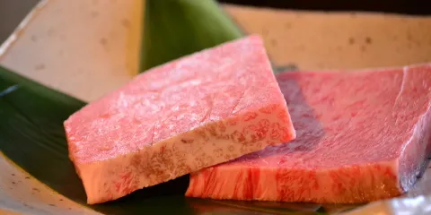 Teppan-Yaki Steak House Kiku