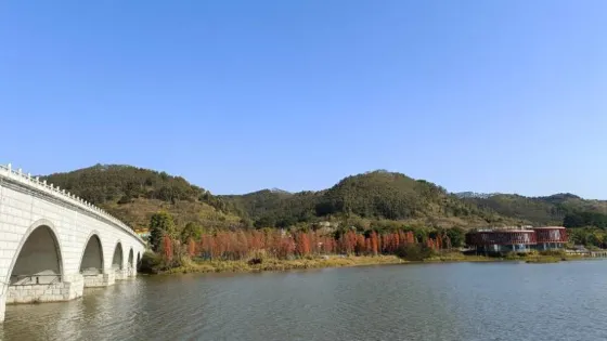 蒼海湖
