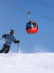 天山麗都滑雪場