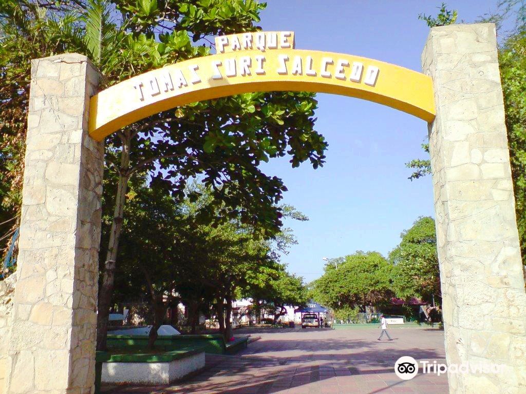Parque Tomás Suri Salcedo