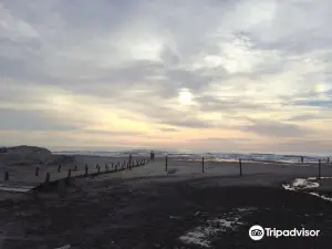 Curumim Beach