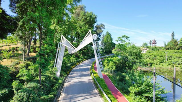 Yunding Top Watery Wonderland