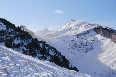 Säntis