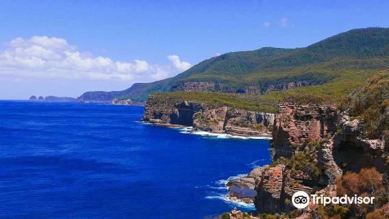 Tasman National Park