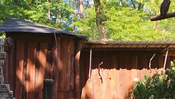 Heimattiergarten Furstenwalde