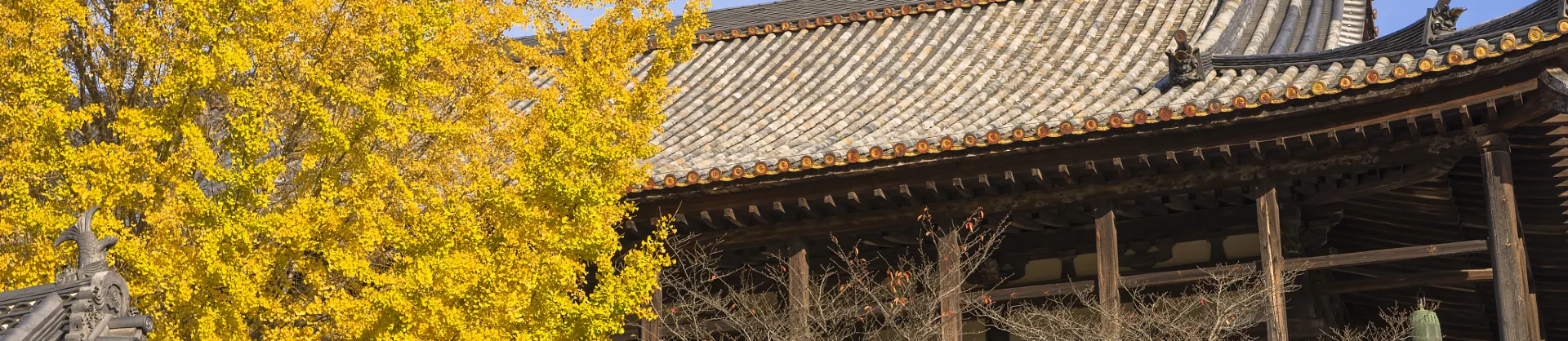 Attrazioni per la visione autunnale