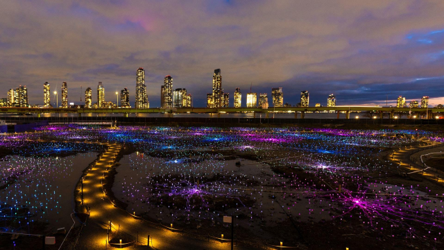 Field of Light | New York