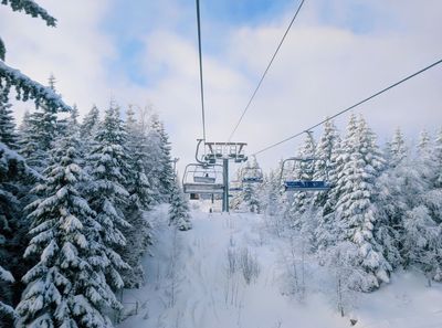 Skimore Oslo