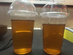 刘红杏·杏皮水店