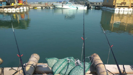 Sea-fishing in Xiapu