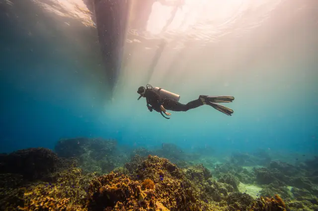Diving in Cebu