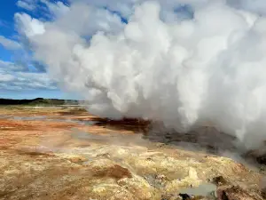 Gunnuhver Hot Springs