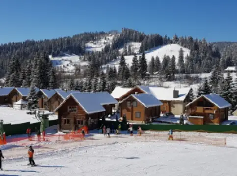 Hirsʹkolyzhnyy Kompleks "Vorokhta"