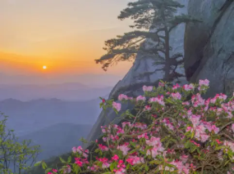 ภูเขาเทียนจู้