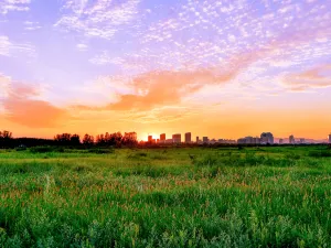 ทุ่งหญ้าไซ่ฮั่นถ่าลา