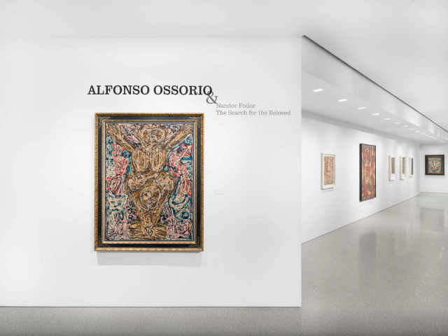 阿方索·奧索里奧&南多爾·福多爾《尋找摯愛》展覽 | Michael Rosenfeld Gallery