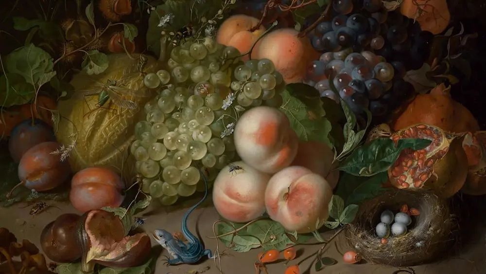 Rachel Ruysch: Artist, Naturalist, and Pioneer | Museum of Fine Arts, Boston