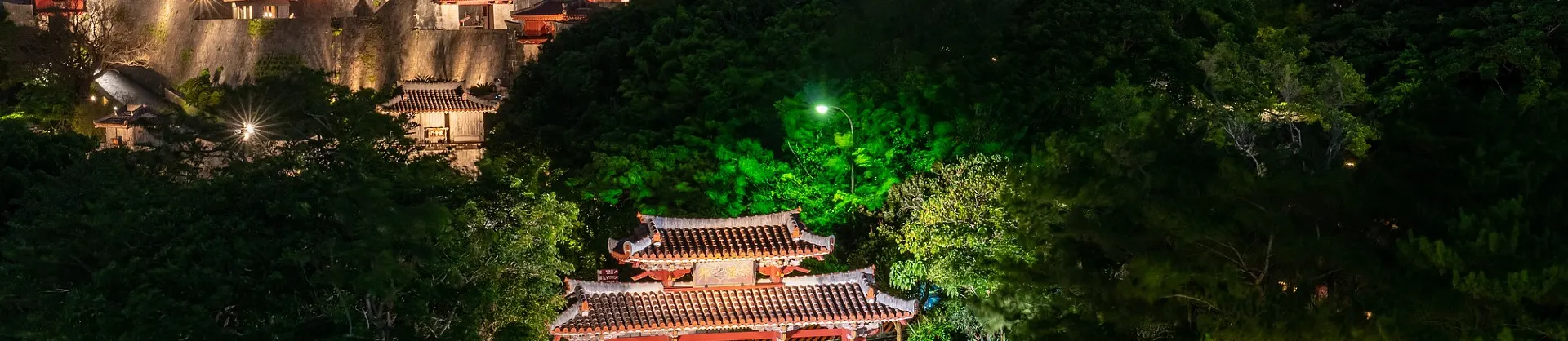 밤의 인기 장면