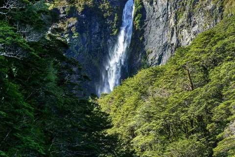 parco nazionale di Arthur's Pass