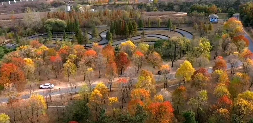 Fall Viewing Attractions