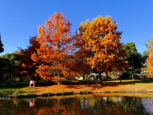 萬博紀念公園