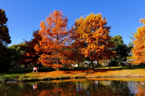 萬博紀念公園