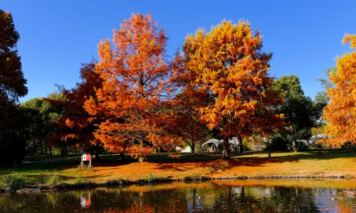 Expo ’70 Commemorative Park