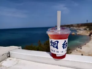 海岛日记(养马岛店)