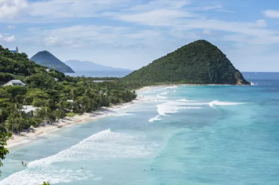 ตอร์โตลา