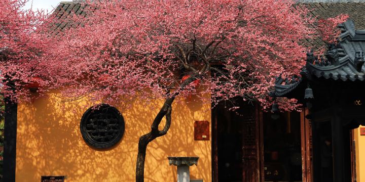 Tiefo Buddhist Temple