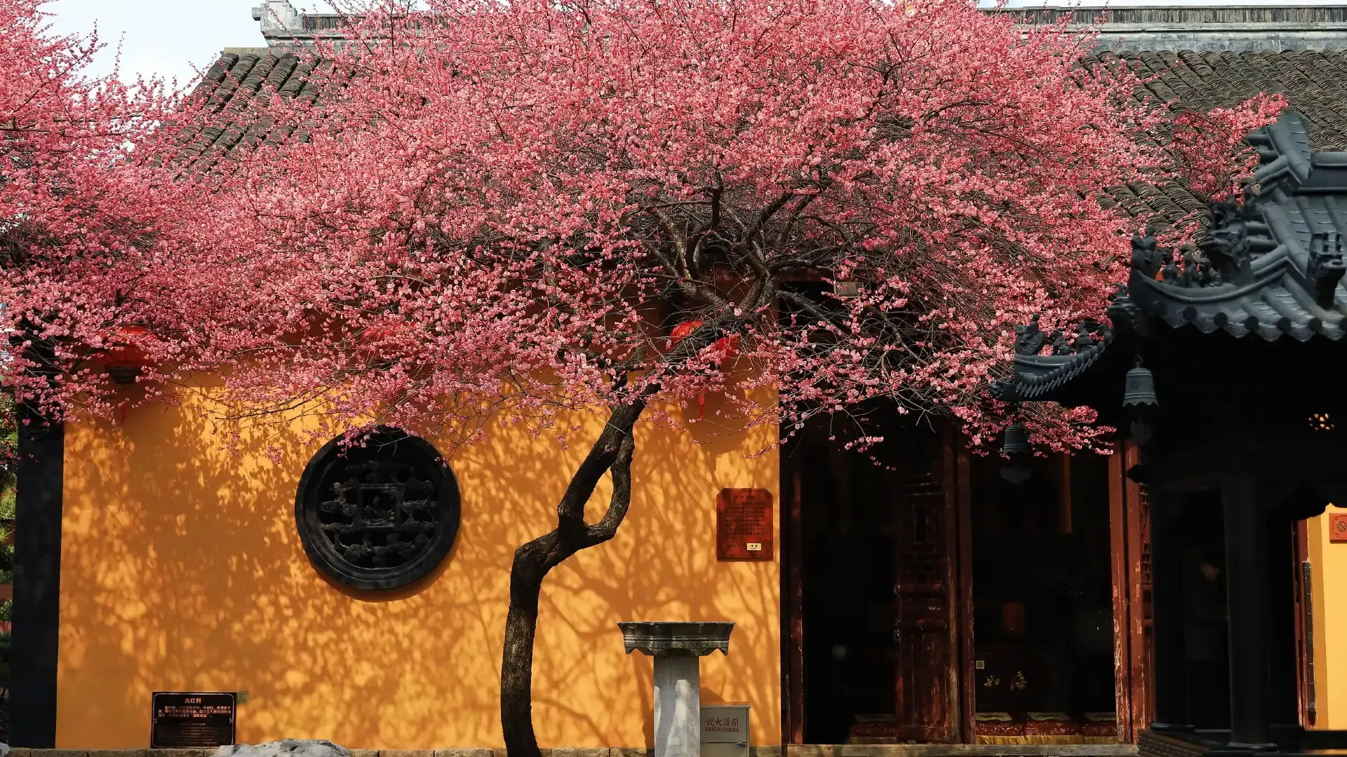 Hotels near Tiefo Buddhist Temple