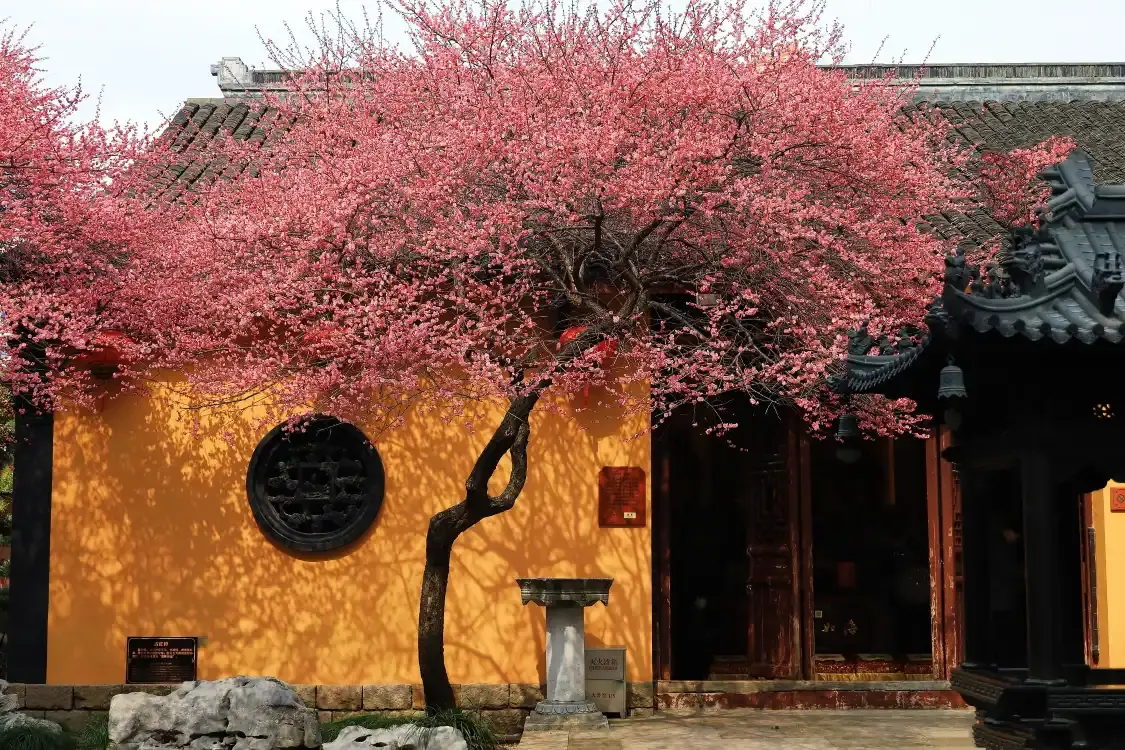 Hotels near Tiefo Buddhist Temple