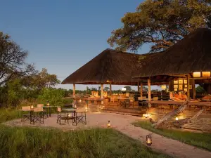 Popular Night Attractions in Botswana