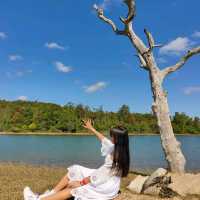 อุทยานแห่งชาติเขาใหญ่