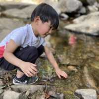#親子游#馬鞍山郊野公園 | 第一次三姐妹一齊行山