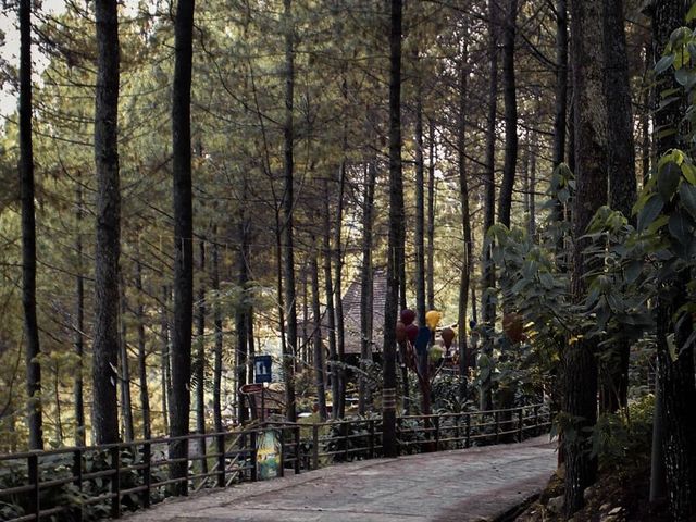 Dago dream park