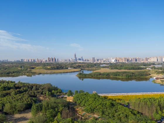 青龍湖湿地公園