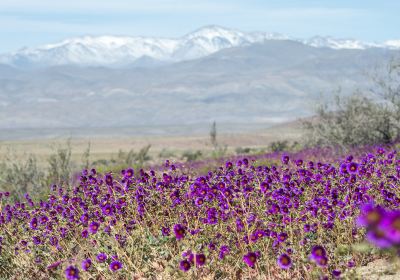 Vùng Atacama